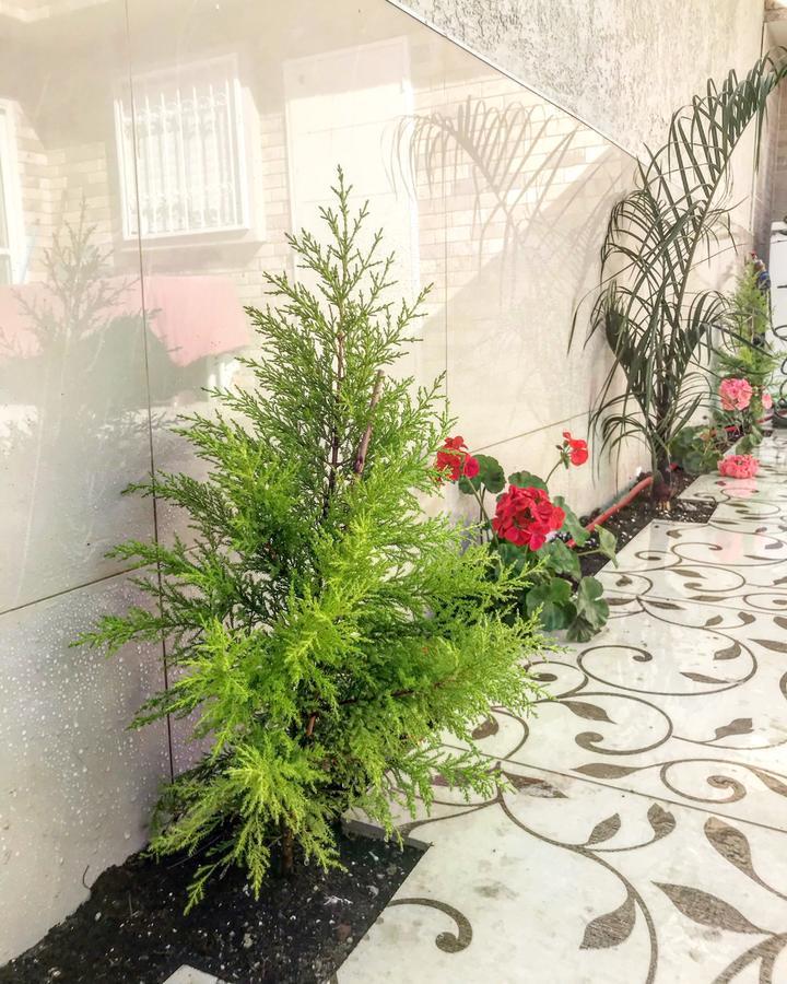 באר שבע Shahal Apartments מראה חיצוני תמונה