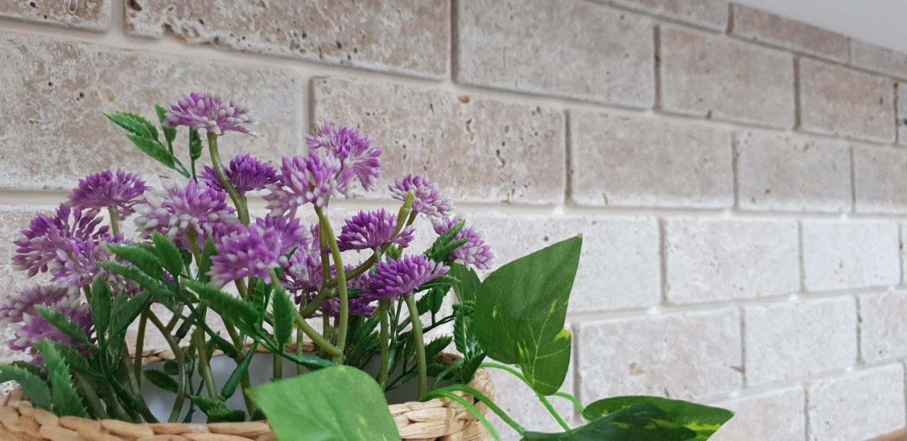 באר שבע Shahal Apartments מראה חיצוני תמונה